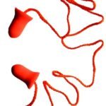 NERVE-C